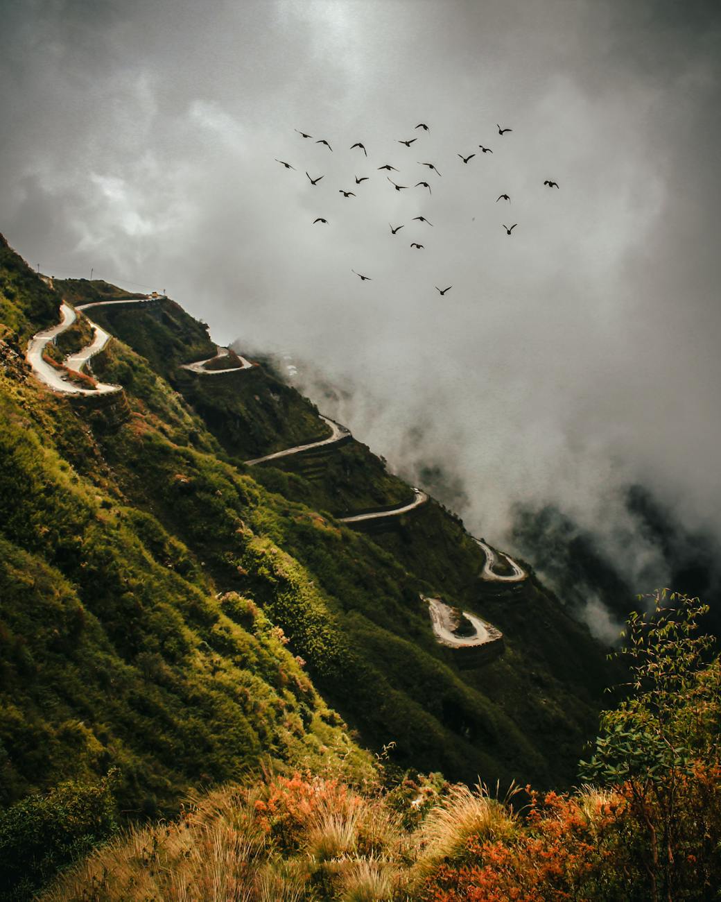 a flock of birds in flight the mountain with a winding road